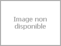 Sika Cup web